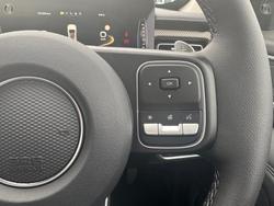 2025 GWM Cannon Vanta