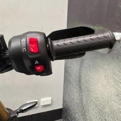 2024 Triumph SCRAMBLER 400 X