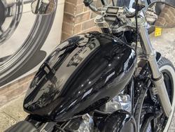 2022 Harley-Davidson Softail Standard 107 (FXST) Softail Black