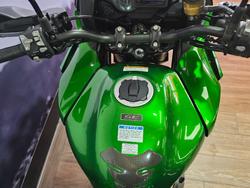 2019 Kawasaki VERSYS 1000 SE (KLZ1000) GREEN