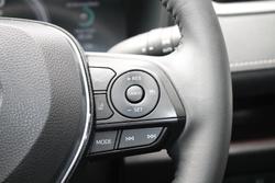 2024 Toyota RAV4 Cruiser