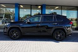 2021 Toyota RAV4 Cruiser