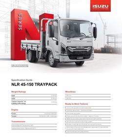 2025 Isuzu Nlr 45-150