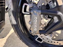 2025 Indian SCOUT 101 WHITE