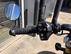 2025 Indian SCOUT 101 WHITE