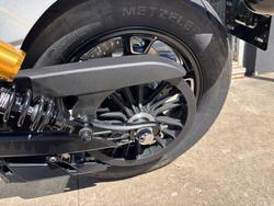 2025 Indian SCOUT 101 WHITE