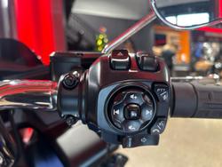 2025 Harley-Davidson Road Glide 117 (FLTRX) Touring Blue