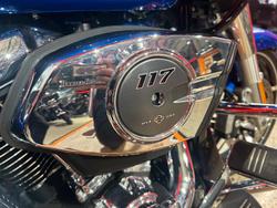 2025 Harley-Davidson Road Glide 117 (FLTRX) Touring Blue