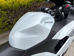 2024 Kawasaki NINJA 500 White