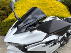 2024 Kawasaki NINJA 500 White