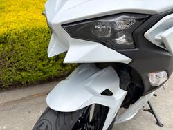 2024 Kawasaki NINJA 500 White