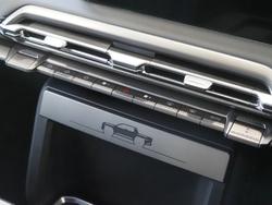 2025 LDV Terron 9 Evolve