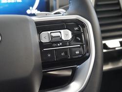 2025 LDV Terron 9 Evolve