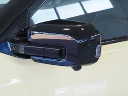 2025 LDV Terron 9 Evolve