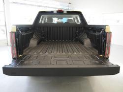 2025 LDV Terron 9 Evolve