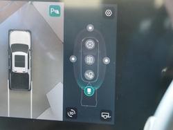 2025 LDV Terron 9 Evolve