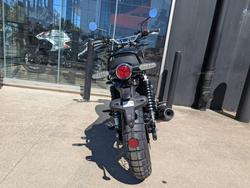 2026 Royal Enfield (see Also Enfiel 2026 Royal Enfield (see Also Enfiel 650CC BEAR 650 Road Golden Shadow