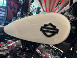 2019 Harley-Davidson Breakout 114 (FXBRS) Softail