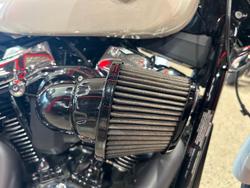 2019 Harley-Davidson Breakout 114 (FXBRS) Softail