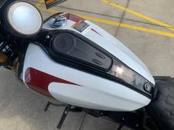 2025 Indian SCOUT 101 LIMITED White