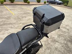 2021 Triumph TIGER 900 RALLY PRO