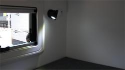 2025 Viscount Wild Shark