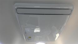 2025 Viscount Wild Shark