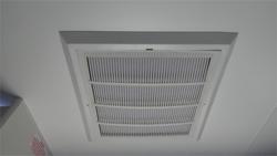 2025 Viscount Wild Shark