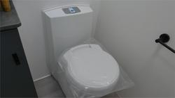 2025 Viscount Wild Shark