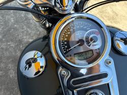 2009 HARLEY-DAVIDSON FXDF FAT BOB Grey