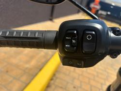 2025 Harley-Davidson Low Rider S 117 (FXLRS) Softail