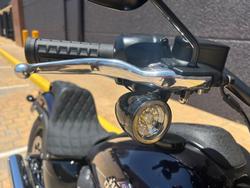 2025 Harley-Davidson Low Rider S 117 (FXLRS) Softail