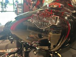 2019 Harley-Davidson Fat Bob 114 (FXFBS) Softail Black