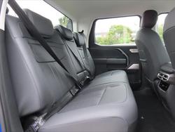 2025 LDV Terron 9 Evolve