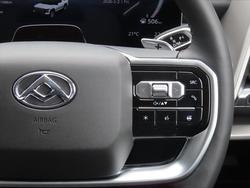 2025 LDV Terron 9 Evolve