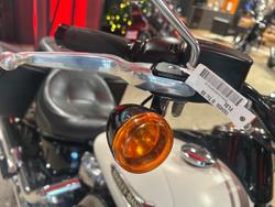 2019 Harley-Davidson Slim 107 (FLSL) Softail