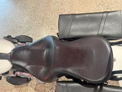 2019 Harley-Davidson Slim 107 (FLSL) Softail