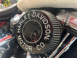 2019 Harley-Davidson Slim 107 (FLSL) Softail