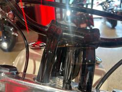 2019 Harley-Davidson Slim 107 (FLSL) Softail