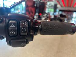 2019 Harley-Davidson Slim 107 (FLSL) Softail