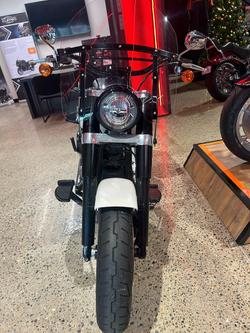 2019 Harley-Davidson Slim 107 (FLSL) Softail