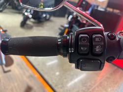 2019 Harley-Davidson Slim 107 (FLSL) Softail