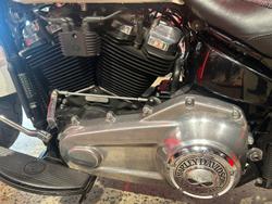 2019 Harley-Davidson Slim 107 (FLSL) Softail