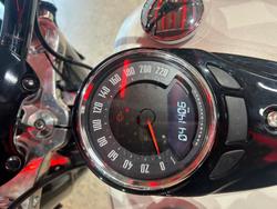 2019 Harley-Davidson Slim 107 (FLSL) Softail