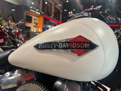 2019 Harley-Davidson Slim 107 (FLSL) Softail