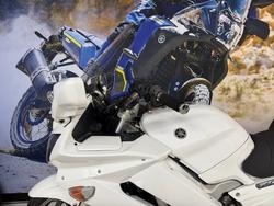 2008 Yamaha FJR1300A WHITE