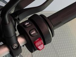 2025 BMW F 900 GS Adventure Ride Pro F 900 Green