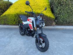 2025 CFMOTO XO PAPIO TRAIL NEBULA WHITE