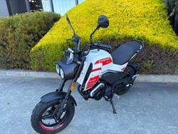 2025 CFMOTO XO PAPIO TRAIL NEBULA WHITE