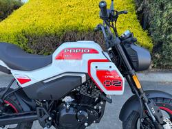 2025 CFMOTO XO PAPIO TRAIL NEBULA WHITE